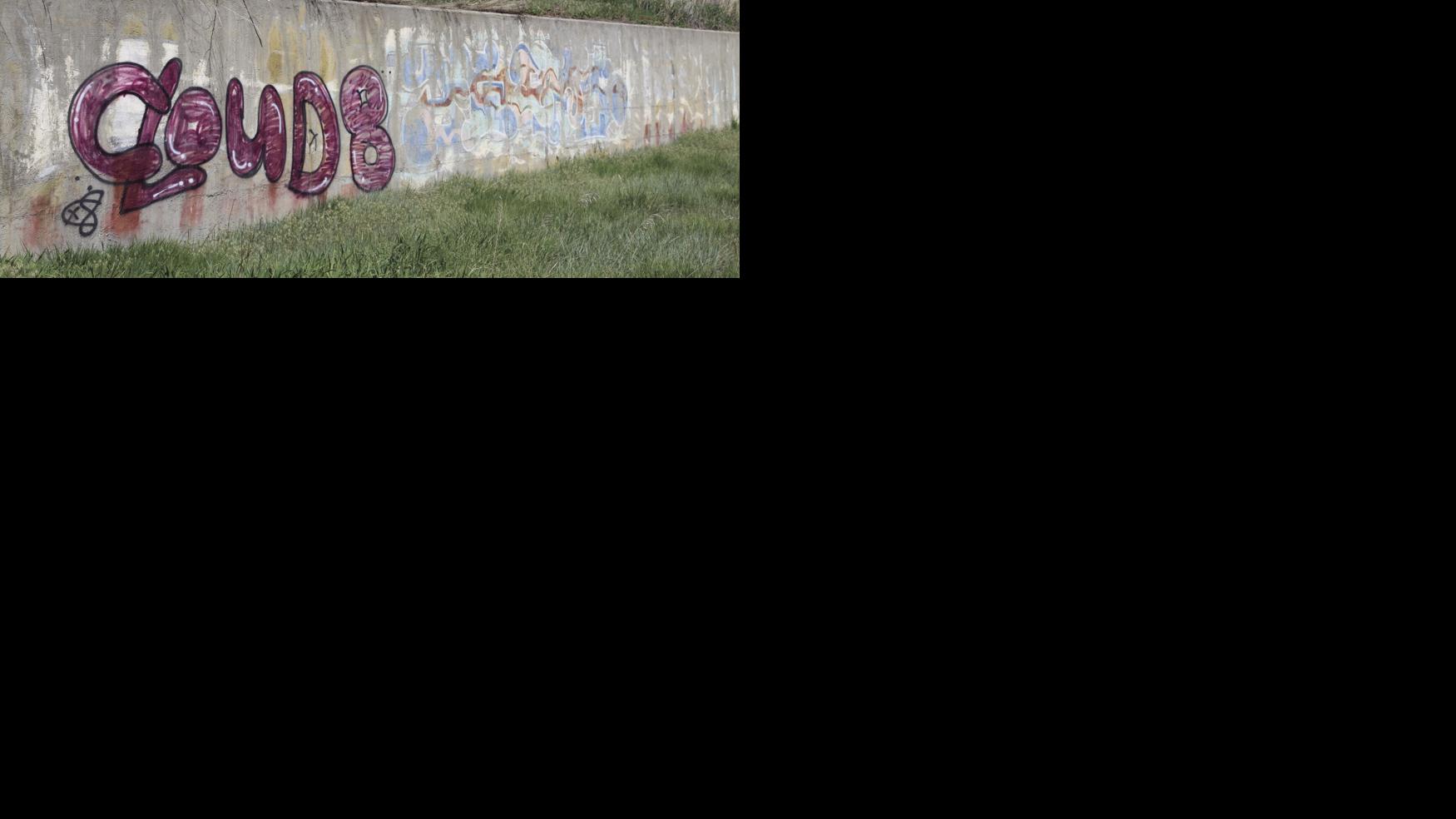 Vandalism property destruction prove difficult to investigate Local
