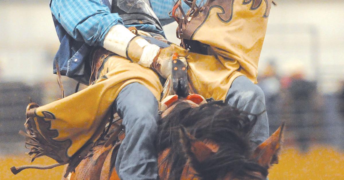 Hemingway Sc Rodeo SC rodeo high in regional standings | Local Sports | thesheridanpress.com