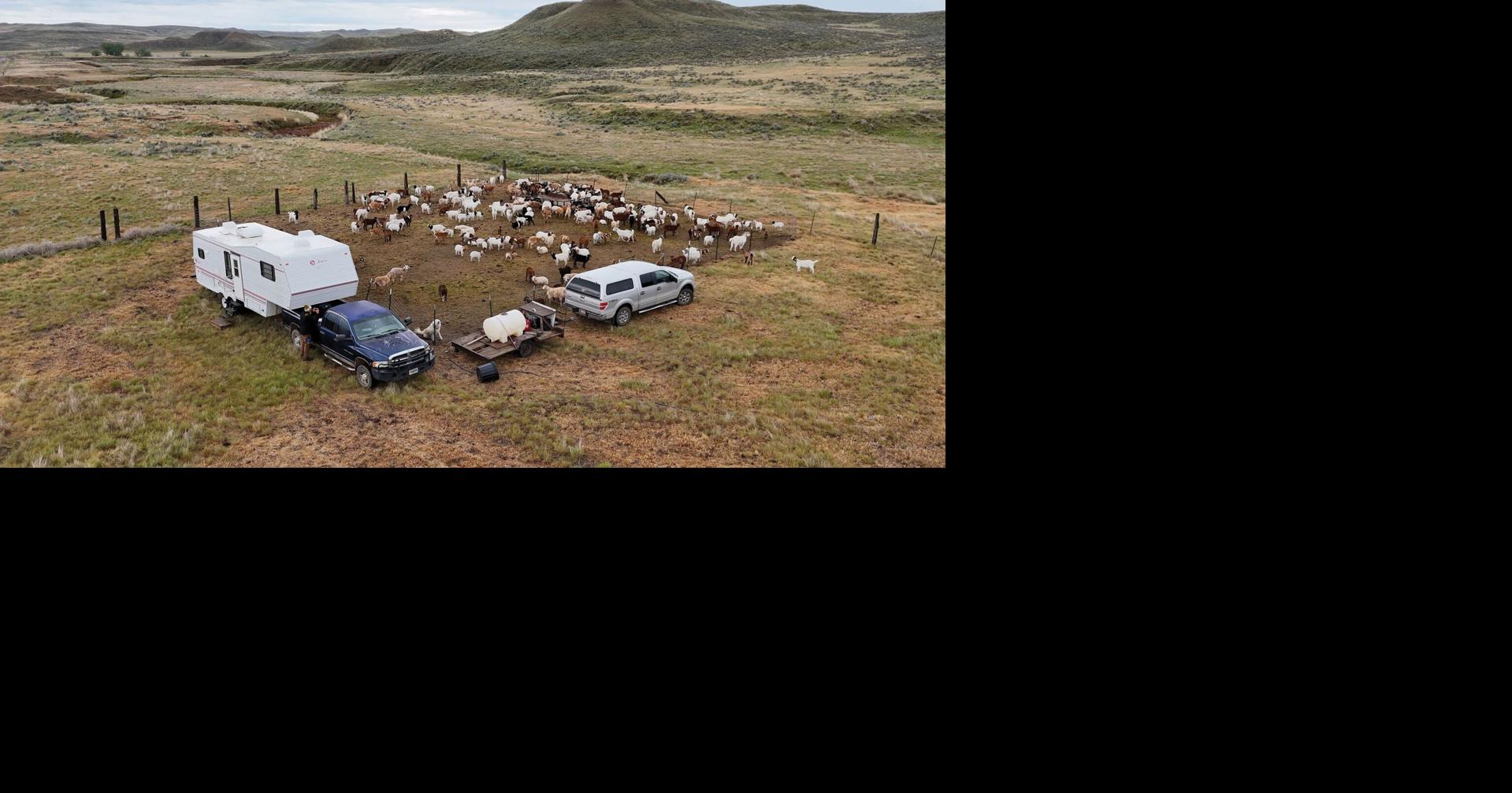 'Grit and Grace:’ Sheridan College student’s documentary spotlights Wyoming’s female ranchers