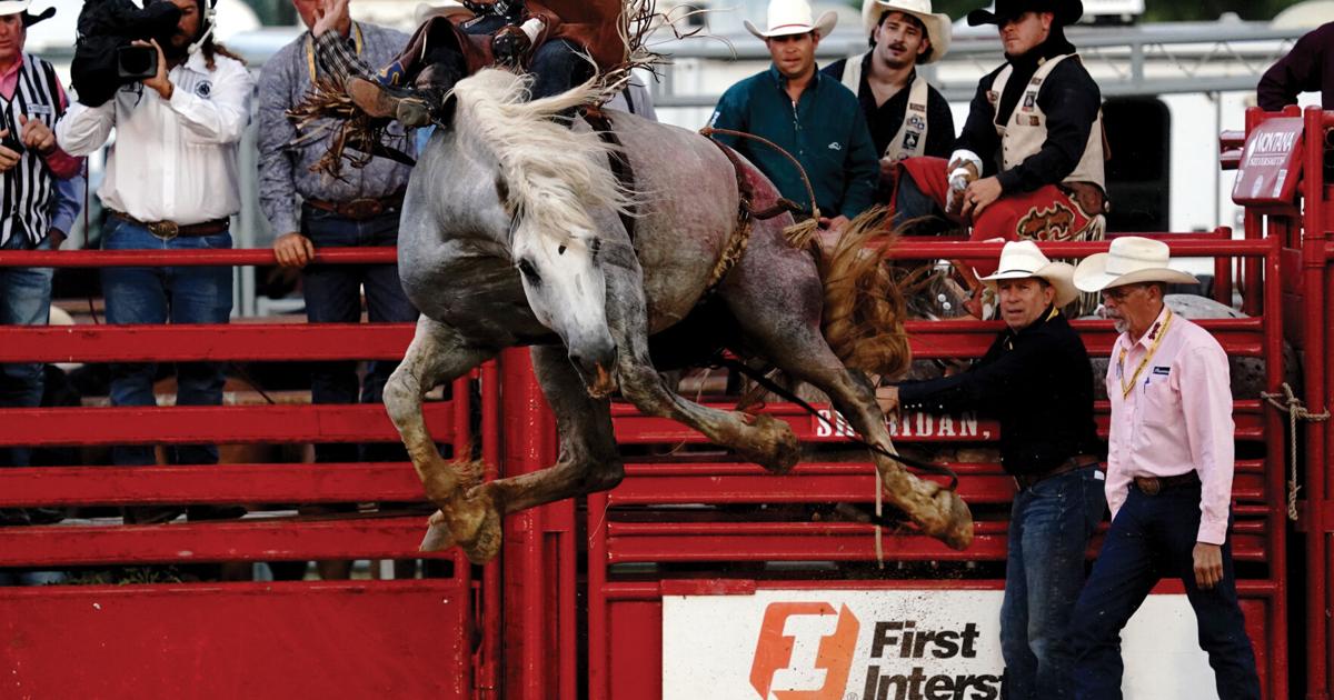 Wyo Rodeo Sheridan WYO Rodeo Pink Night (07-13-2023) | Photo Galleries ...