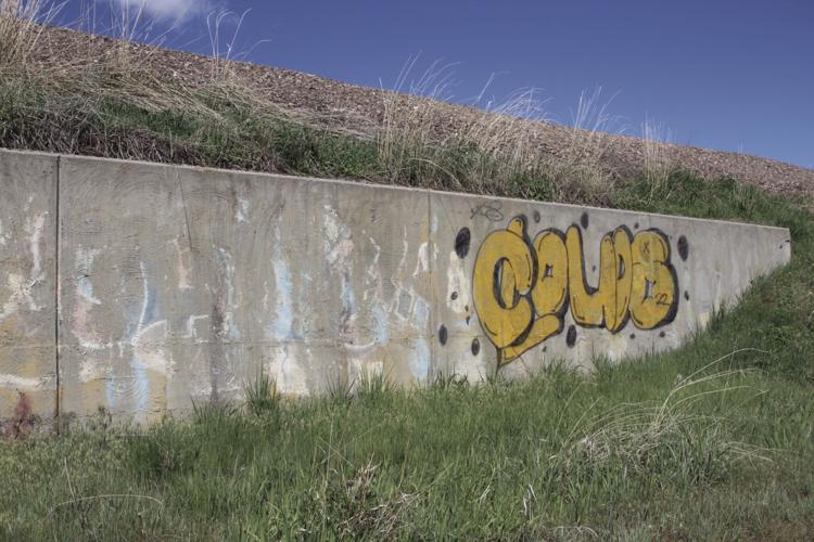 Vandalism property destruction prove difficult to investigate Local