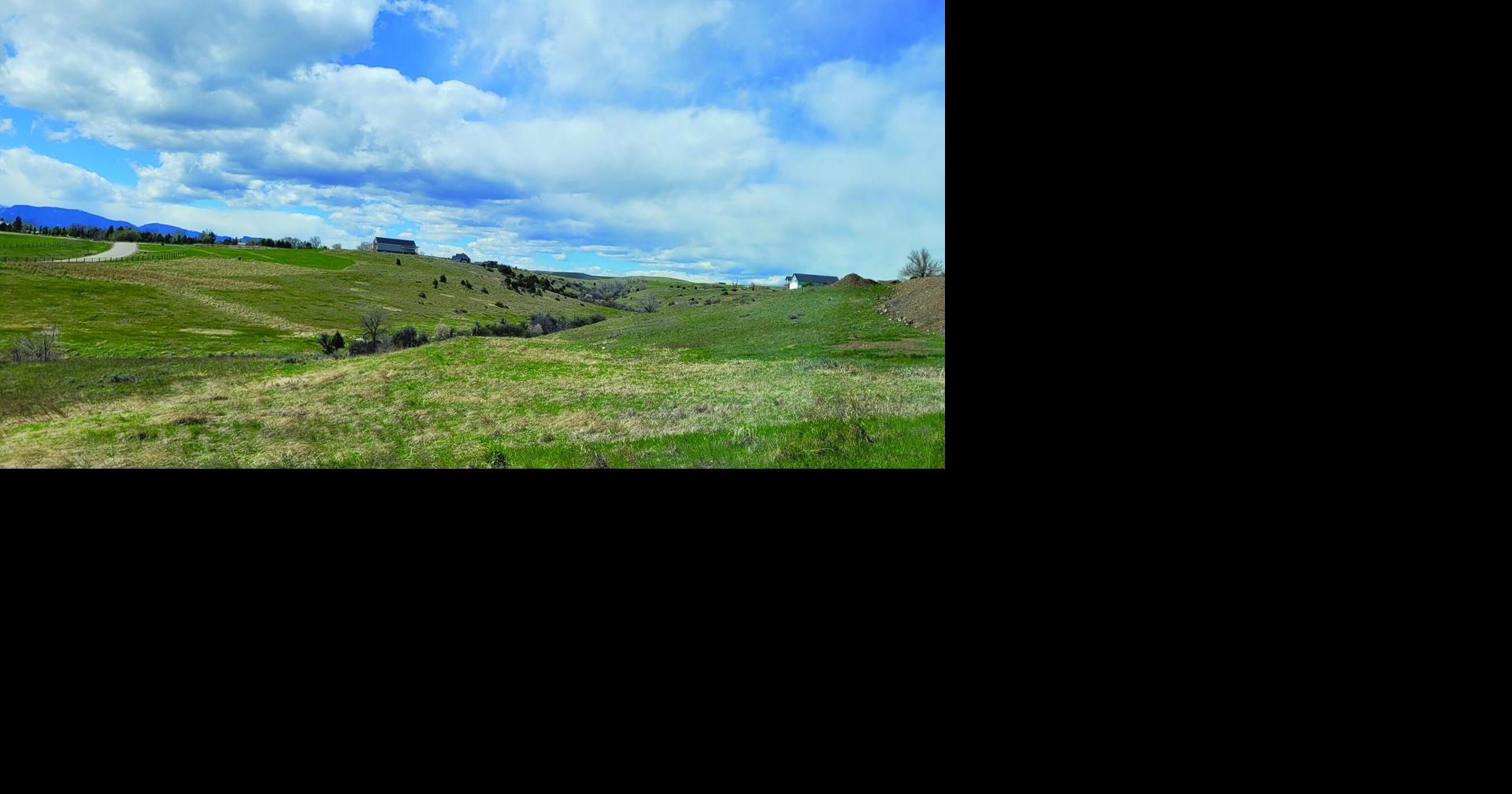 City council approves most expensive Gillispie Draw feasibility study ...