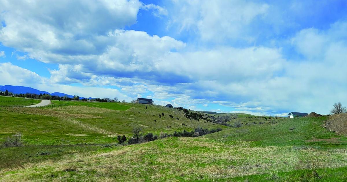 Expensive Rent Draw City council approves most expensive Gillispie Draw feasibility study ...