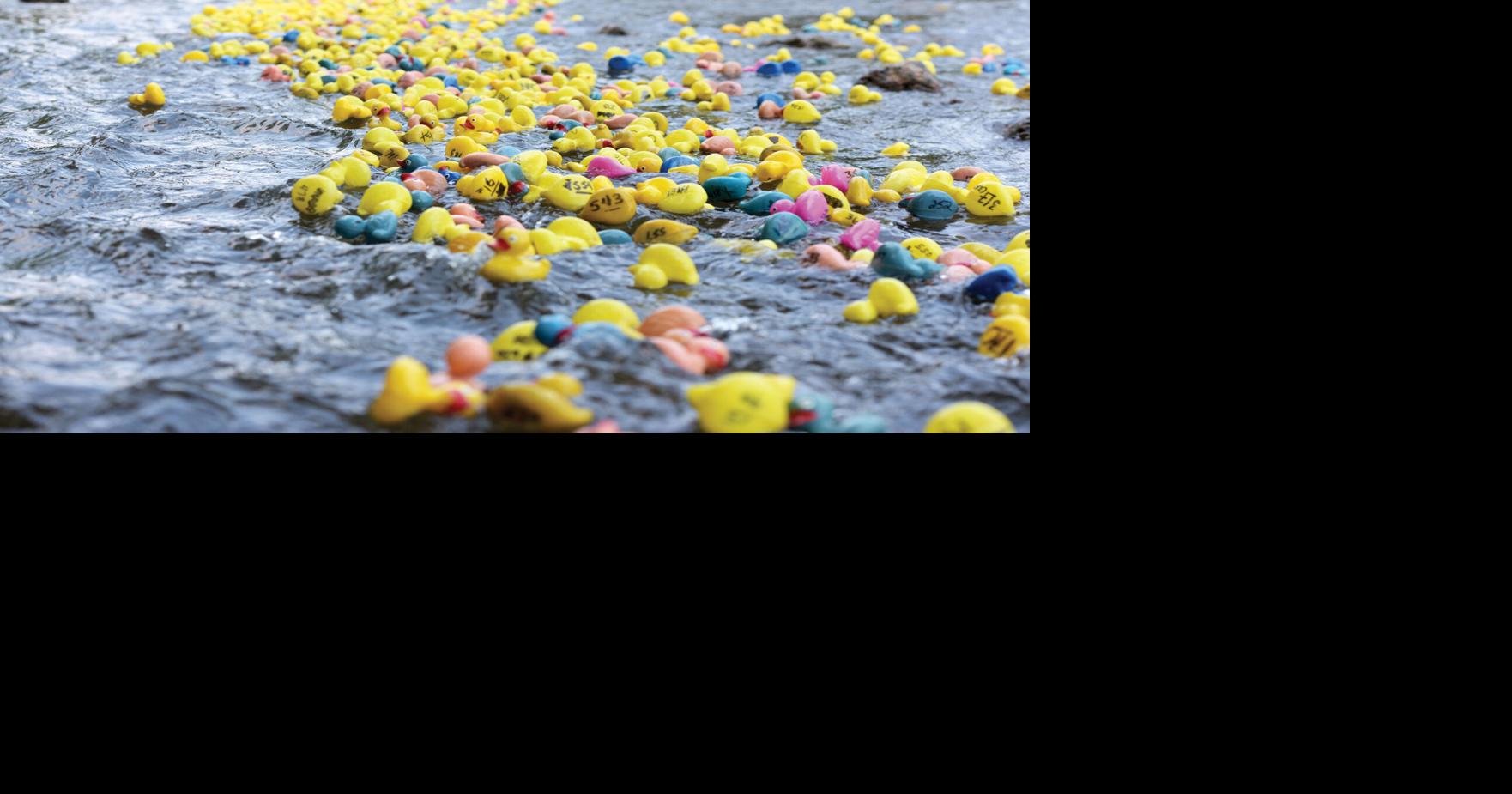 Duck race to benefit Kiwanis Local News