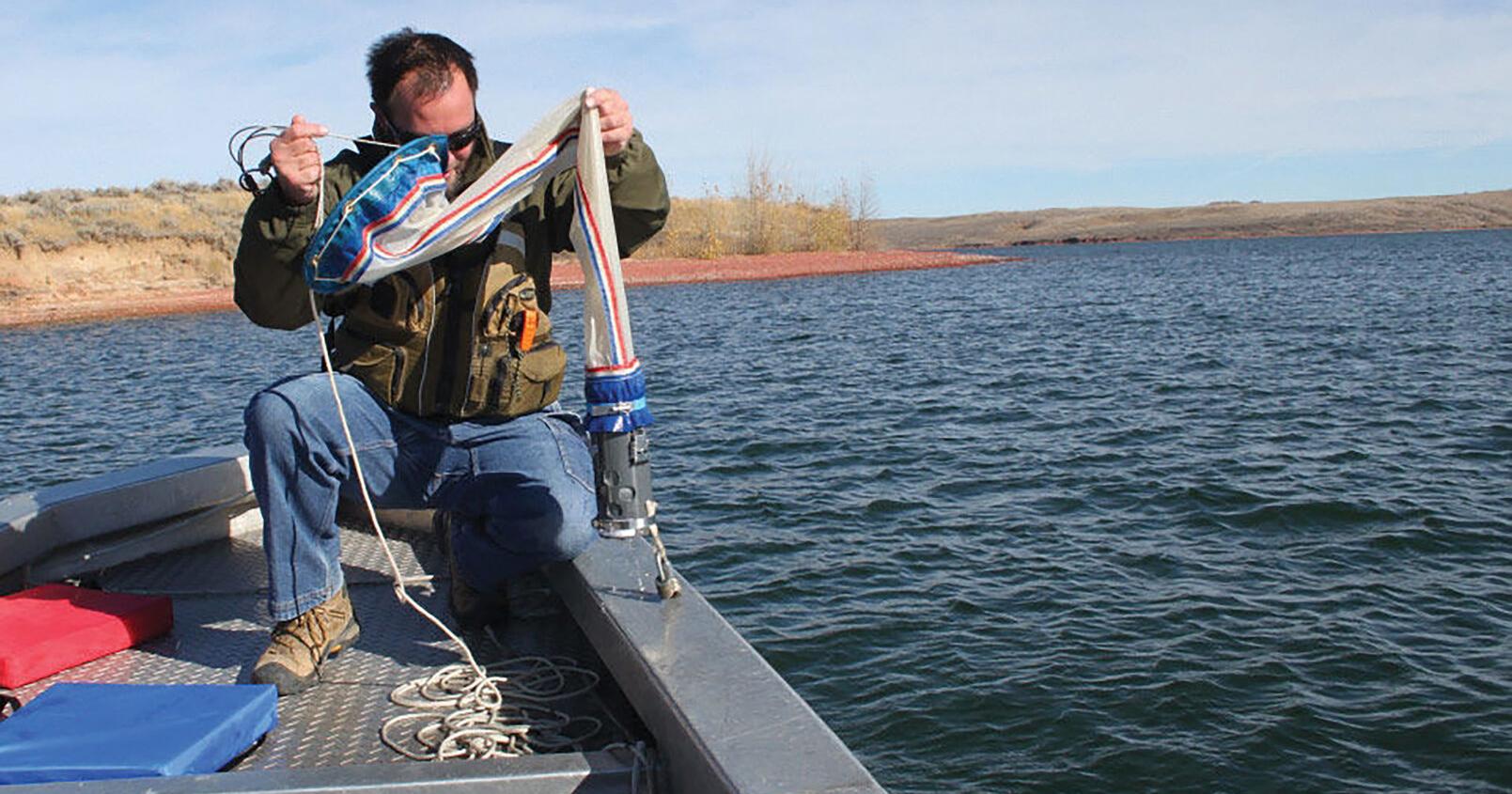 Game and Fish wrestle with how to handle illegal introduction of fish in Wyoming waters - Vimarsana News