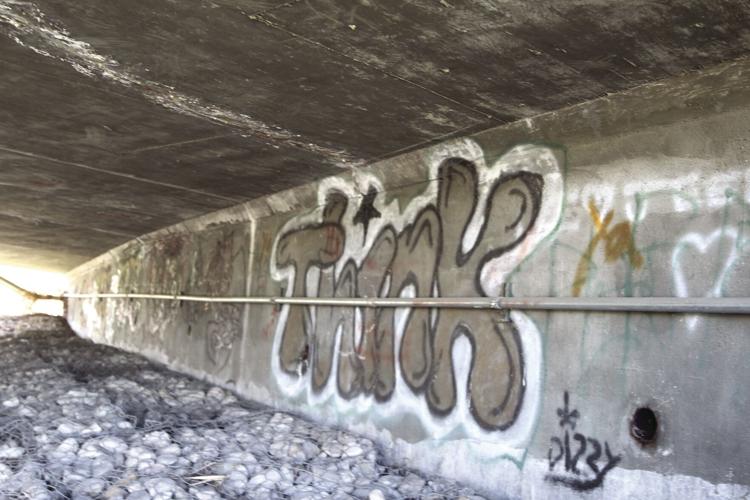 Vandalism property destruction prove difficult to investigate Local