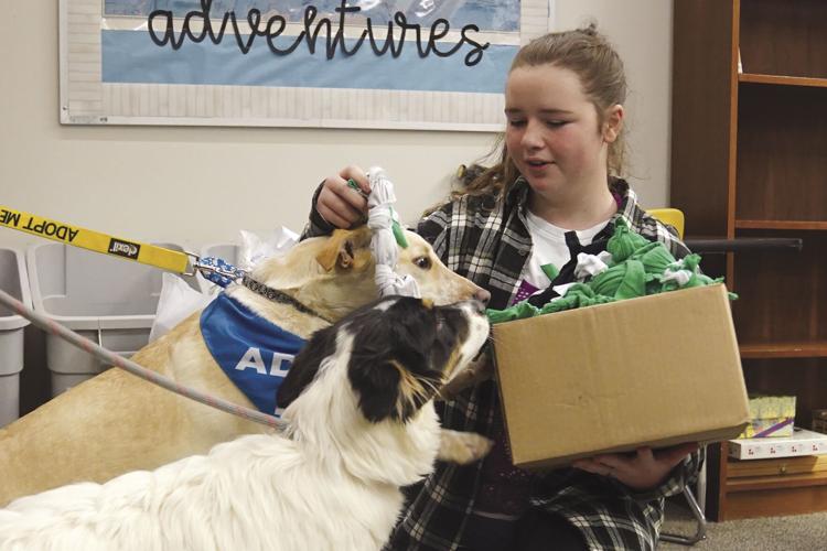 TRMS students make homemade dog toys for shelter Local News