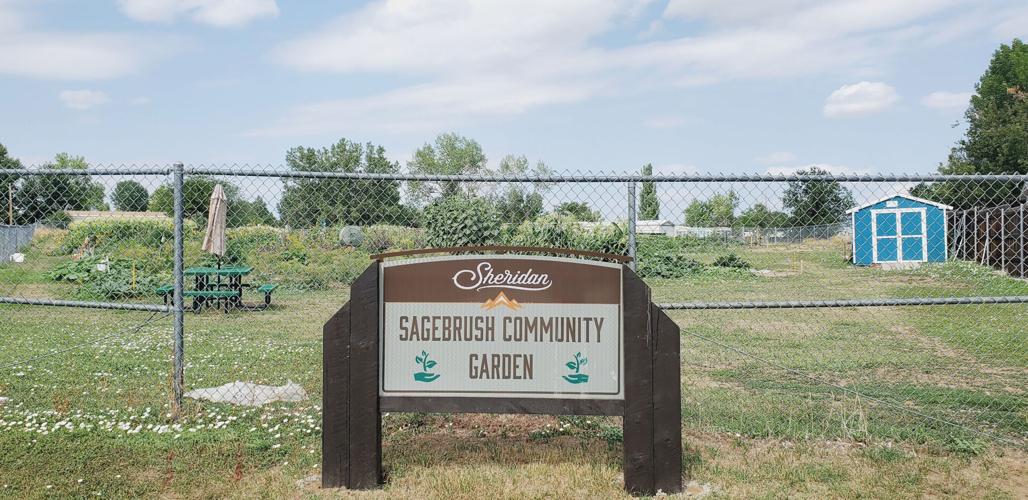 Sharing benefits of community gardens Outdoors