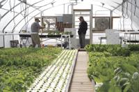 10-19-2020 Start-Up Challenge_KC 003.jpg