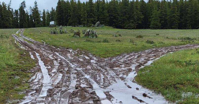 BNF roads remain closed due to wet conditions - Vimarsana News