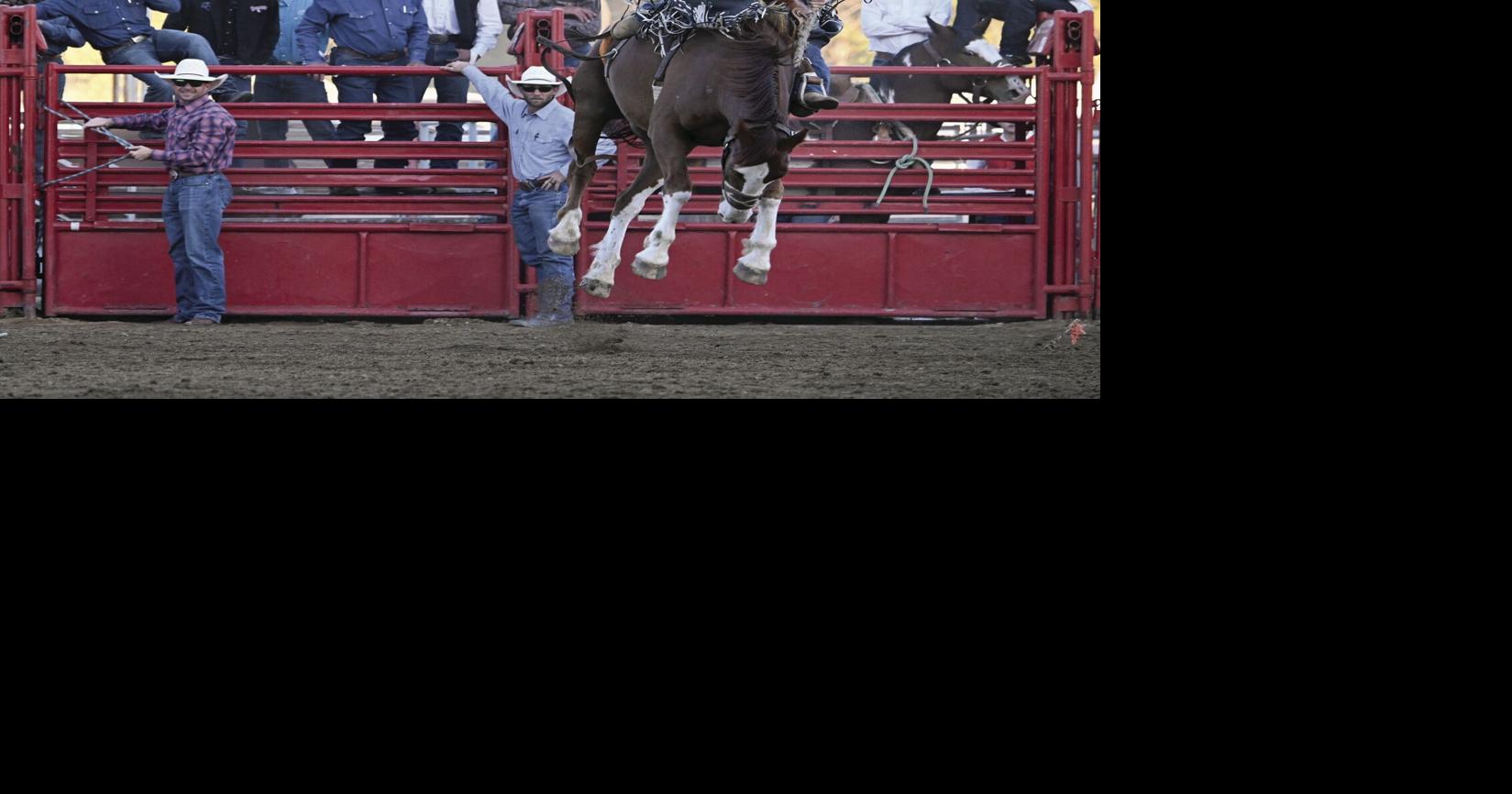 Rodeo banquet set for March 8 | People and events | thesheridanpress.com