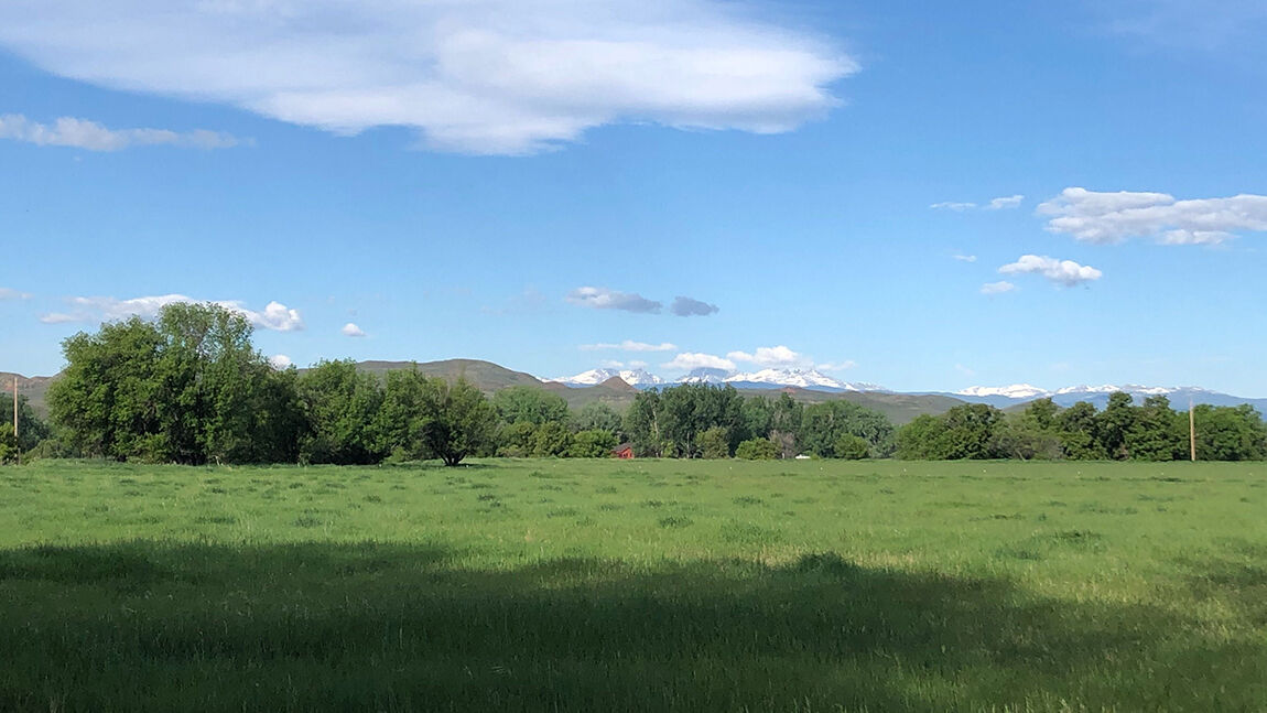 Ucross awards fall 2020 fellowships to Native American visual artist, writer