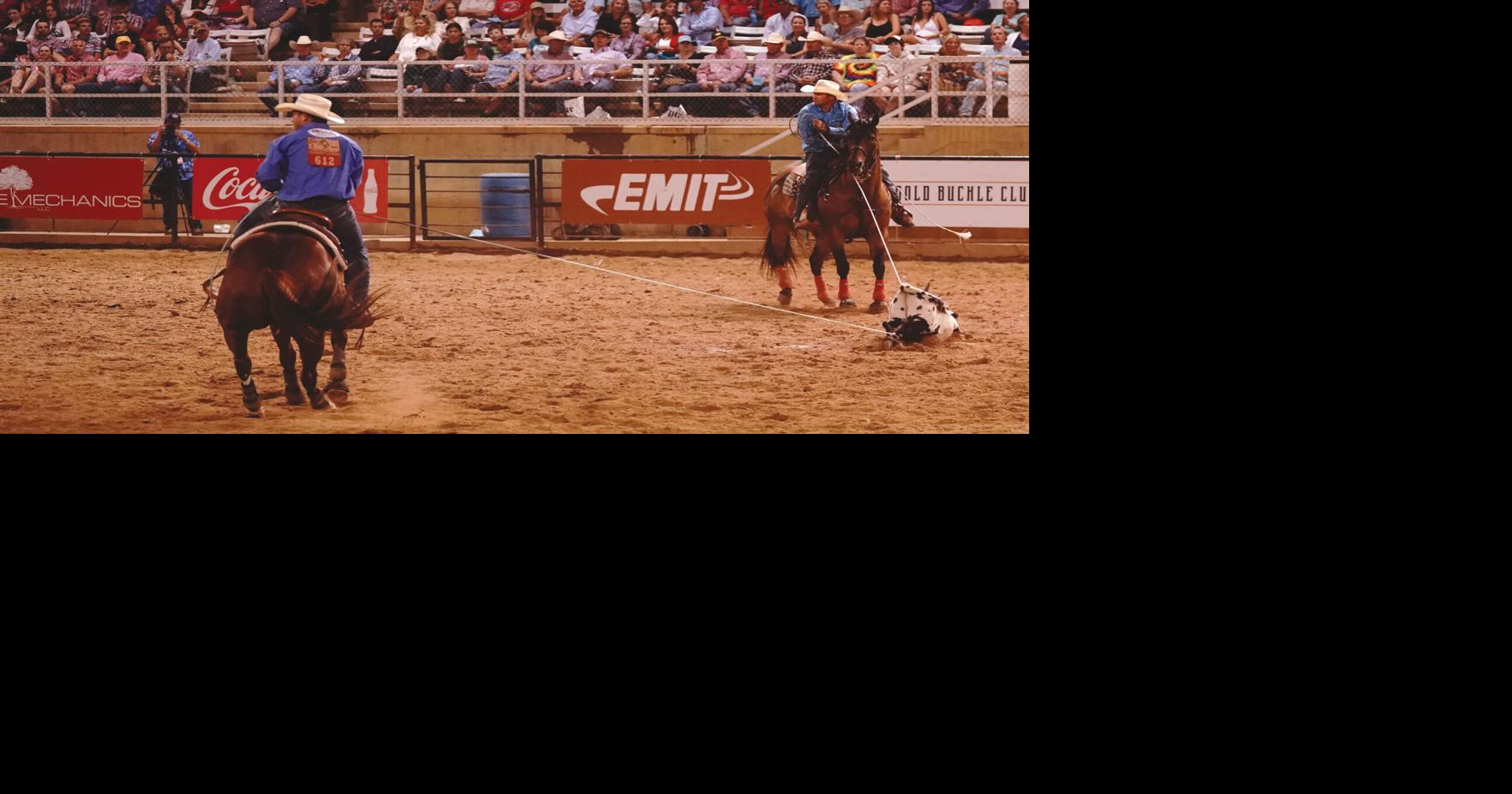 Team roping pair is brotherhood | Sports | thesheridanpress.com