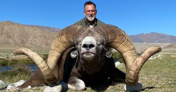 Mongolian hunt yields potential world-record ram | Local News |  