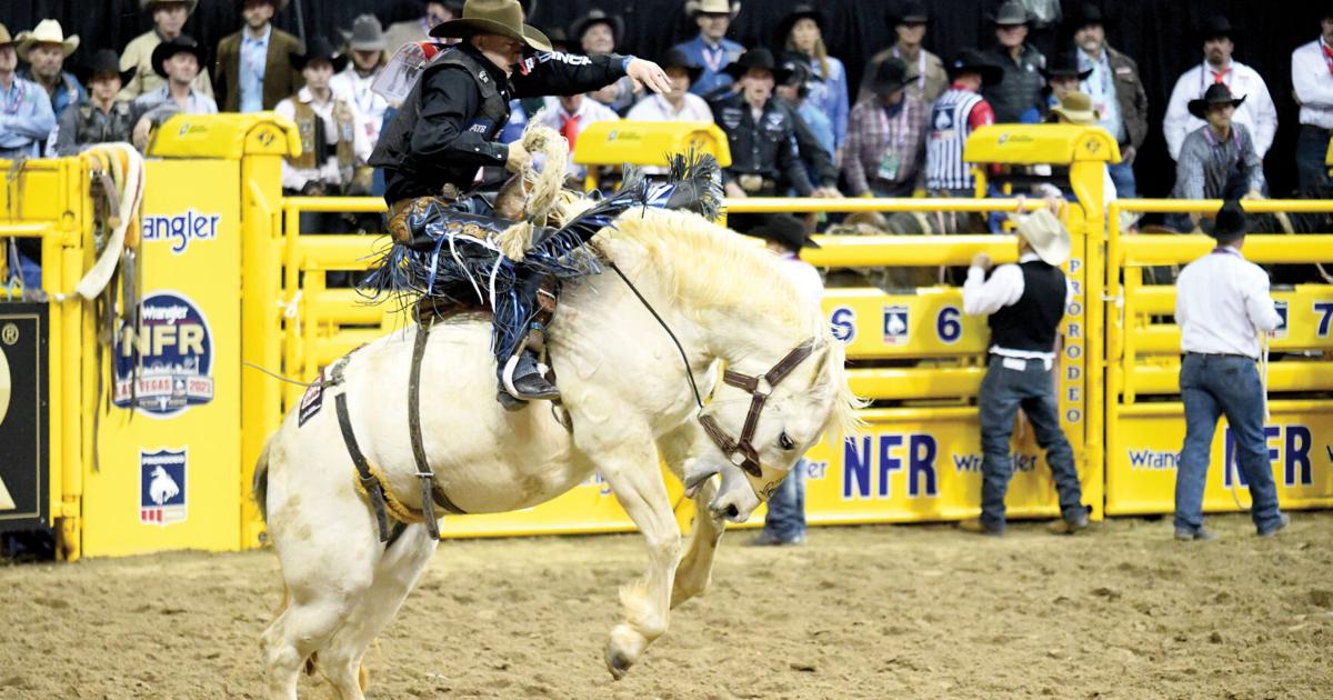 National Finals Rodeo Night Six Results Average World Standings Local Sports Thesheridanpress Com National Finals Rodeo Night Six Results Average World Standings Local Sports Thesheridanpress Com