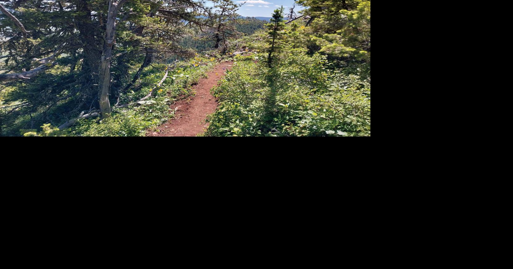 Understanding the signs, trail markers of the Bighorn Mountains