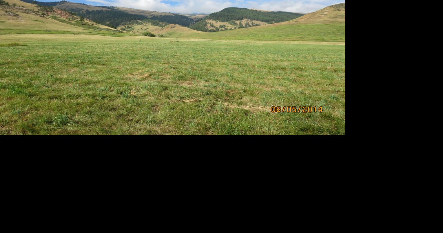 Hunter Management Areas closing for season | Local News ...