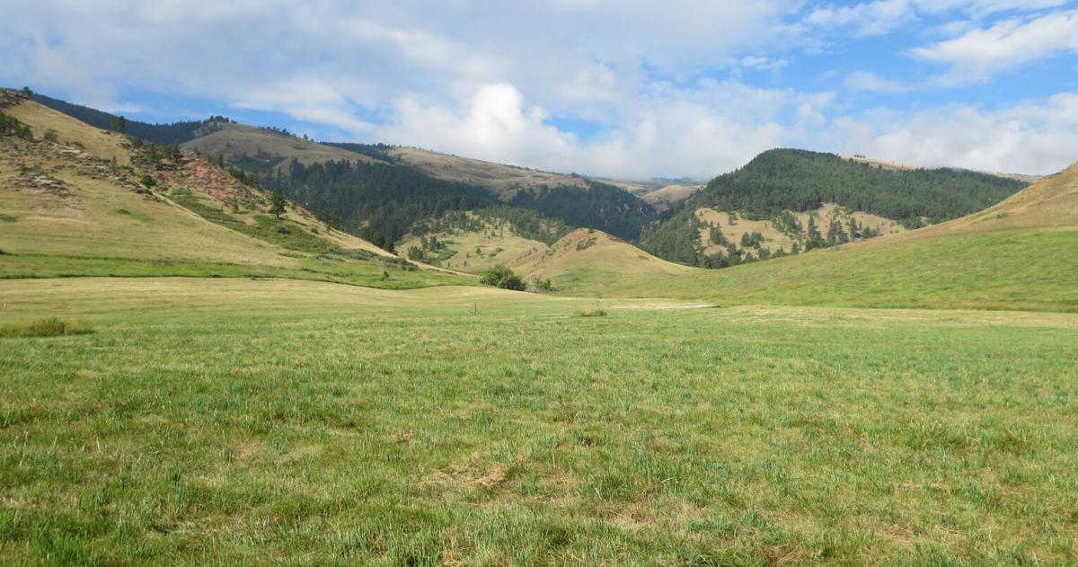 Hunter Management Hunter Management Areas closing for season | Local News ...