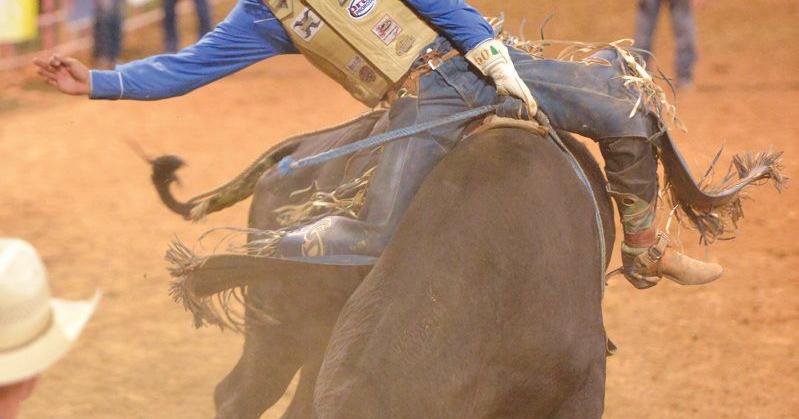 Chamber hosting Rodeo Week window-decorating contest | Local News ...