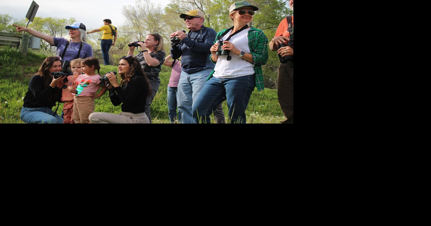 Unplug: Birds of the SCLT Big Goose Natural Area set for May 13
