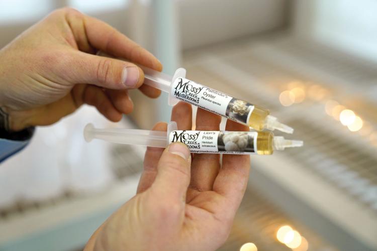 Sheridan StartUp Challenge contender Oyster City Mushroom Farm hopes