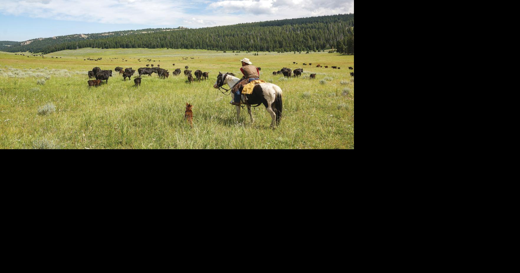 Parkman ranch established before Wyoming was a state; grows with family ...