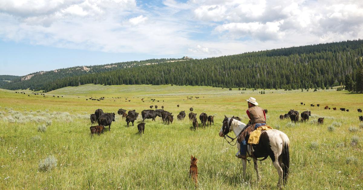 Perryman Ranch Jenks Parkman ranch established before Wyoming was a state; grows with family ...