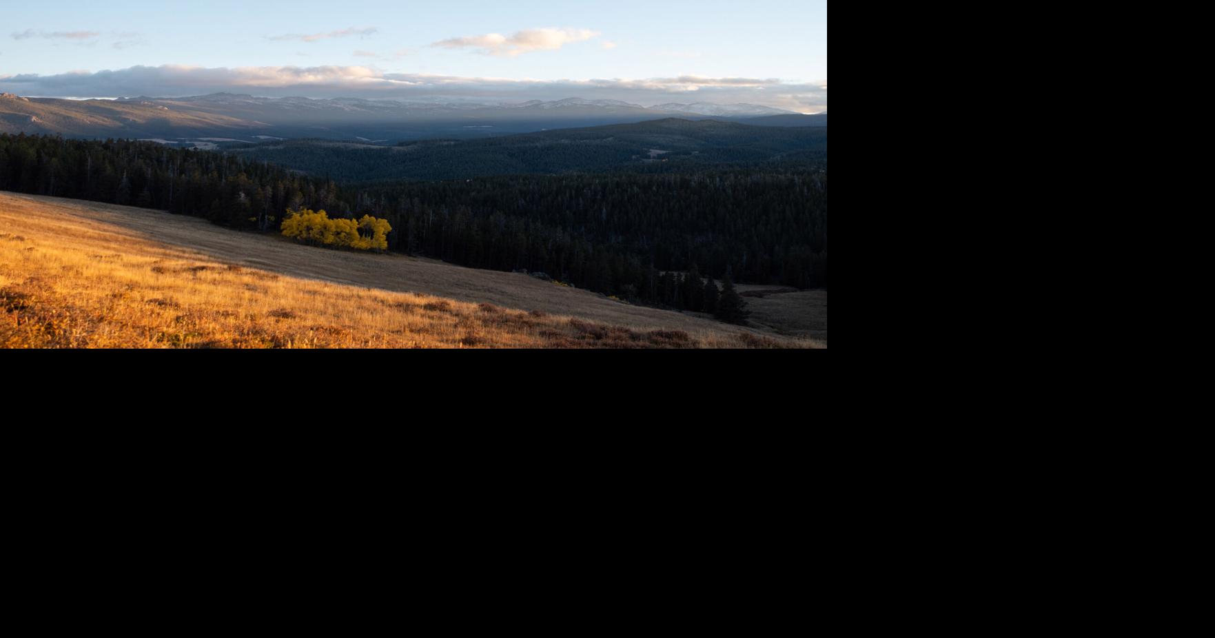 Applications open for game warden positions Local News