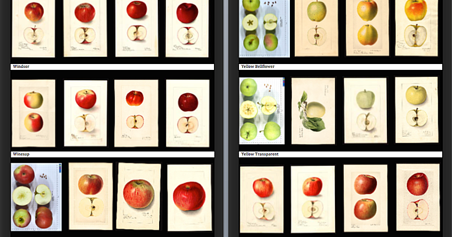 SCLT Explore History: The Wyoming Apple Project Comes set for May 13, May 19