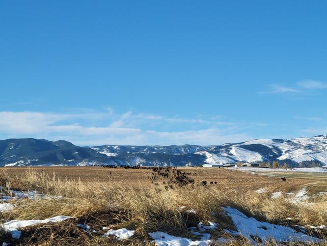 Padlock seeks to correct misconceptions about ranching Local News