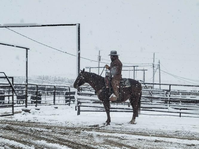 Padlock seeks to correct misconceptions about ranching Local News