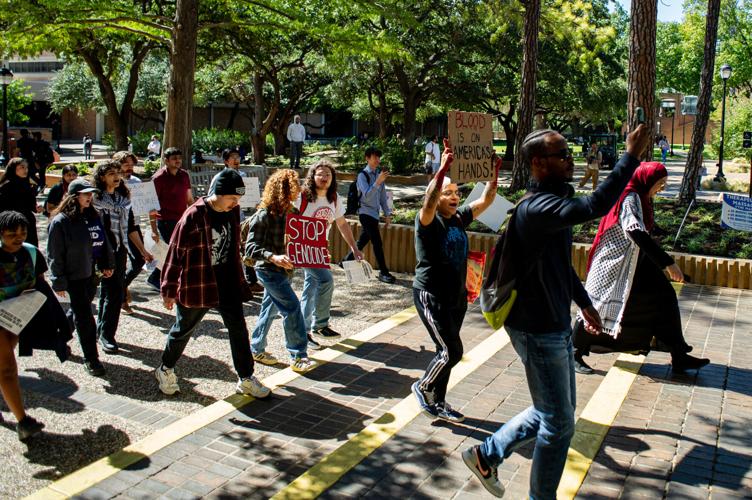 Student protest rallies support for Palestine | News | theshorthorn.com