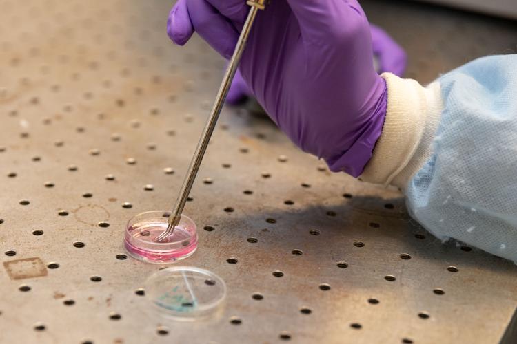 UTA physics professor researches microdynamic therapy as a safer cancer