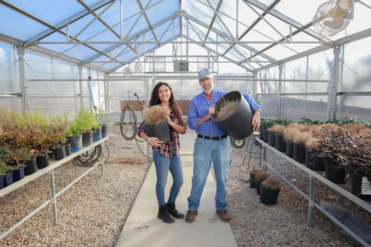 Campus Compost Center receives repurposed building and new staffing ...