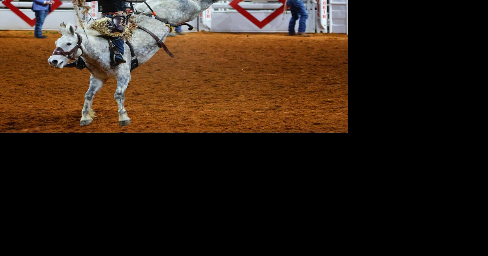 Photos: Contestants cling to victory at ProRodeo Tournament | News ...