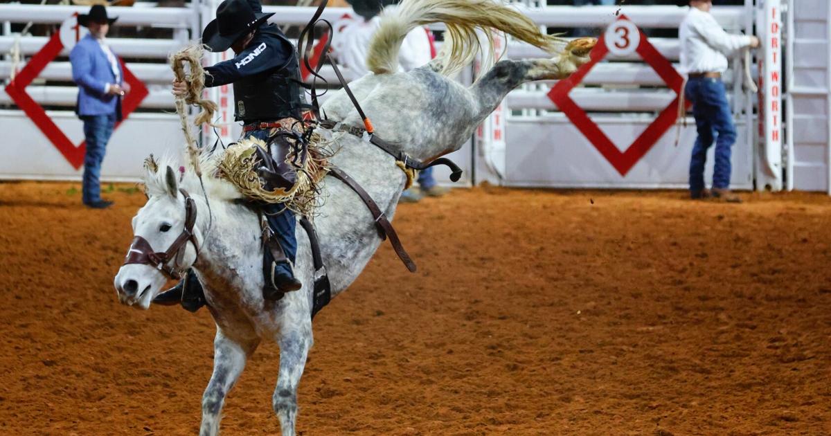 Northhaven Pro Rodeo Photos: Contestants cling to victory at ProRodeo Tournament | News ...
