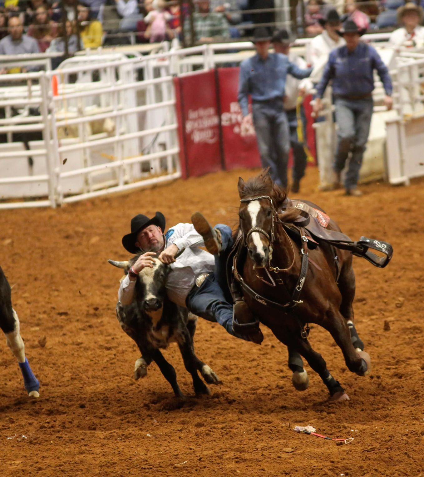 UTA Day at the Fort Worth Stock Show and Rodeo welcomes alumni, students