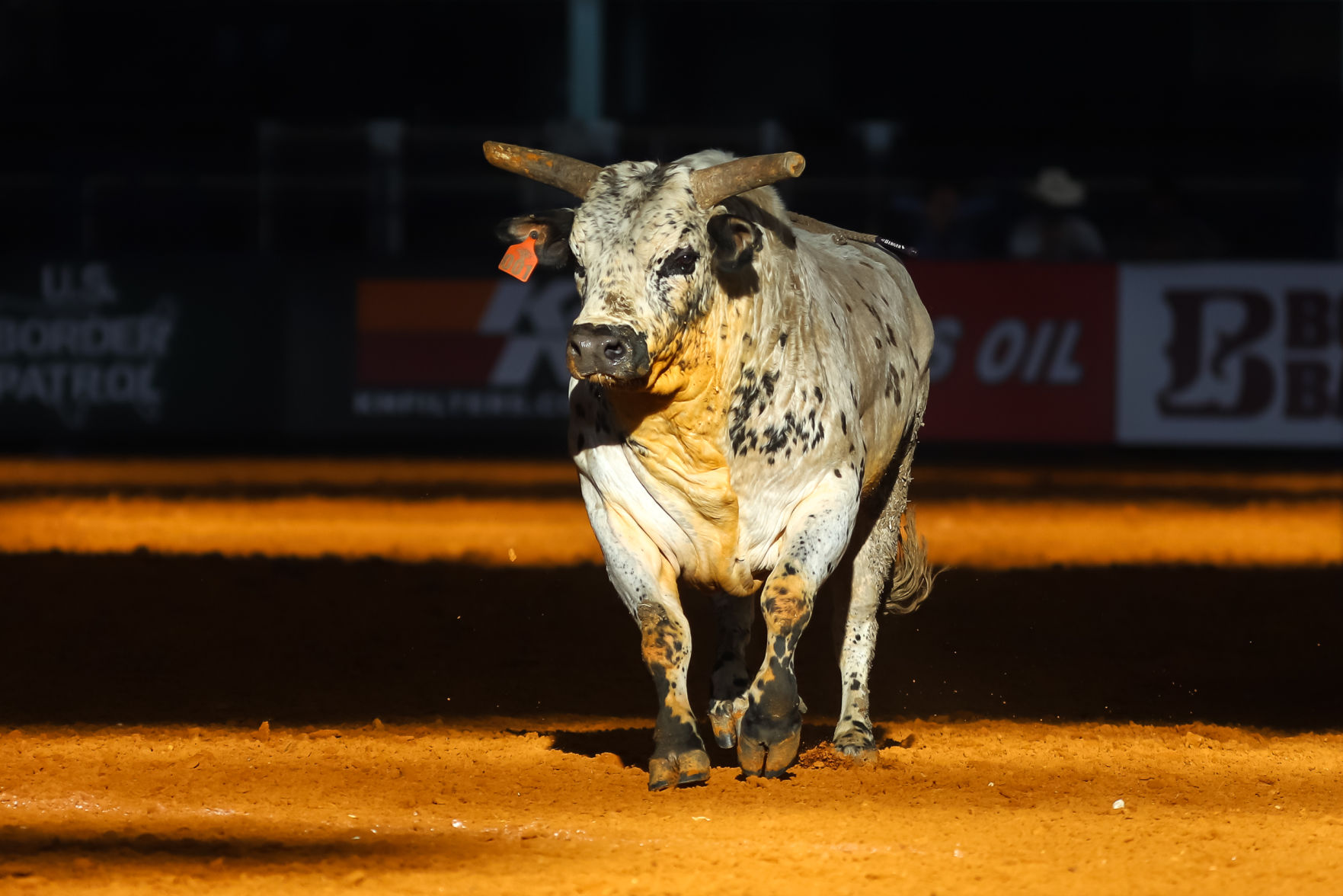 Photos: Team USA Eagles Takes The 2020 Professional Bull Riders Global ...