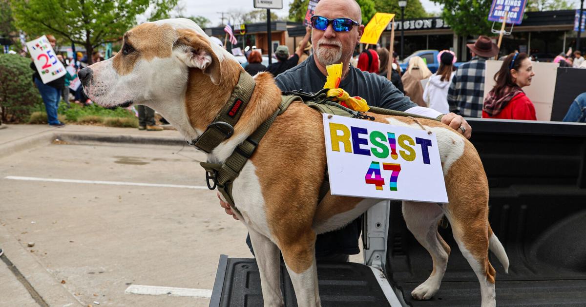 Hundreds protest in Arlington as part of third nationwide ‘No Kings’ movement