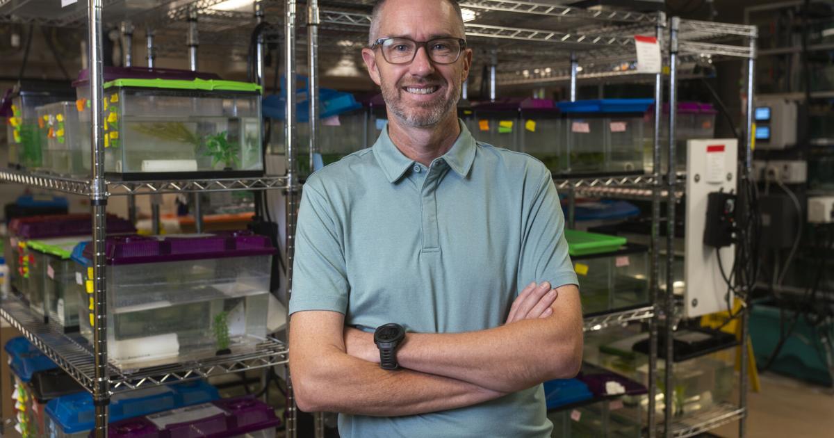 Professor Alan Fish Professor hatches new fish research | News | theshorthorn.com