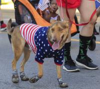 The Arlington Independence Day Parade is on Tuesday, July 4 at 9 a.m.  Scroll to the right for an image of the parade route and parking, so…