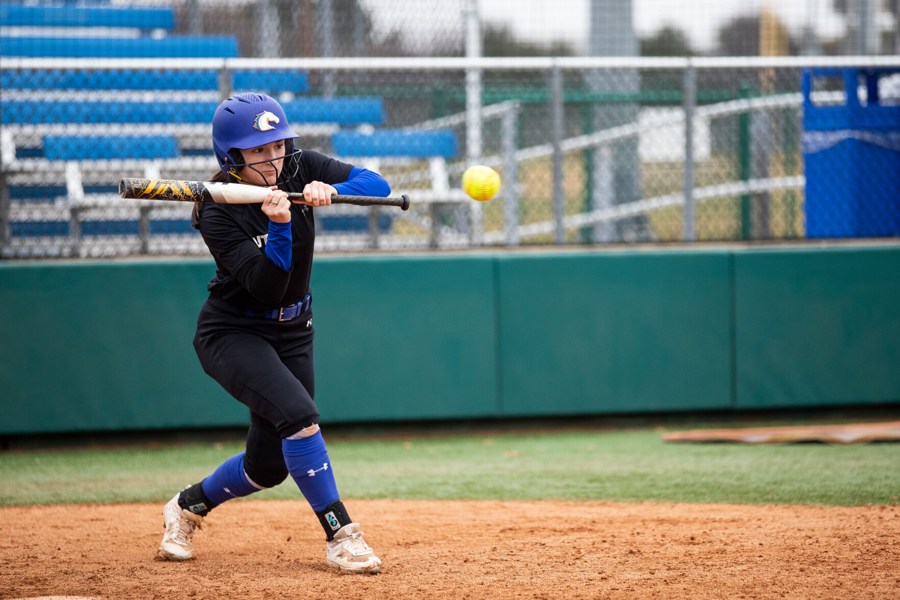 Softball Team Sets High Goals For 2024 Season Sports Theshorthorn Com   65b2e2bdcb5ba.image 