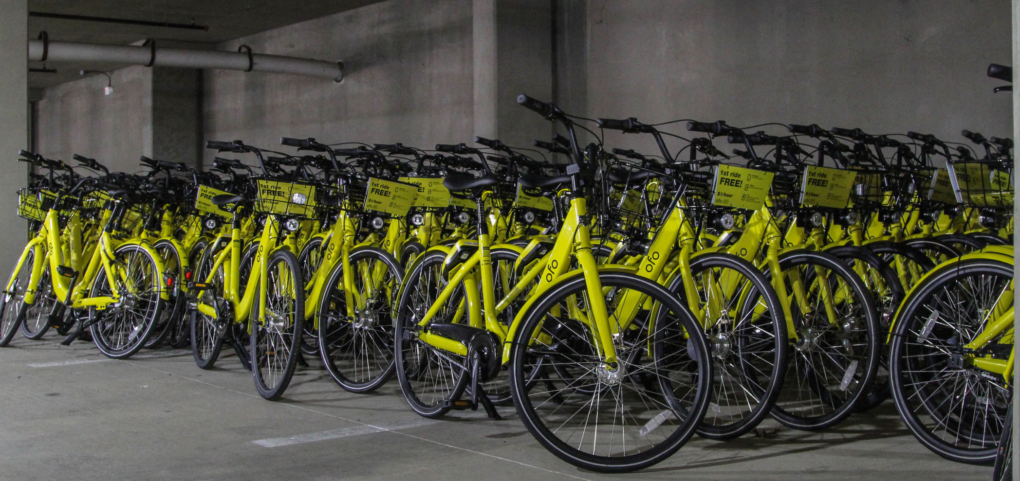 UTA seizes Ofo bikes stationed around campus News theshorthorn