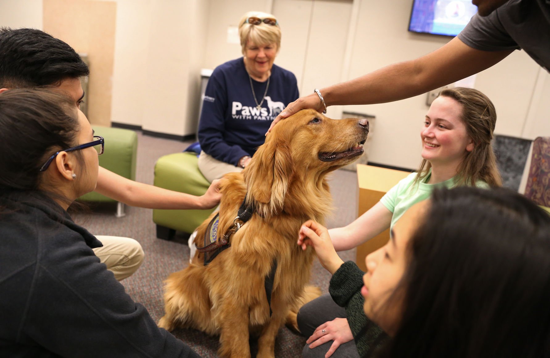 therapy dog visit school