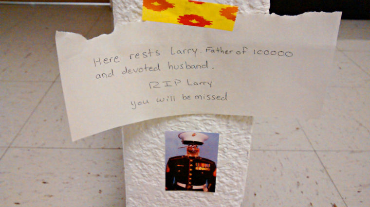 Students remove cockroach memorial | News | theshorthorn.com