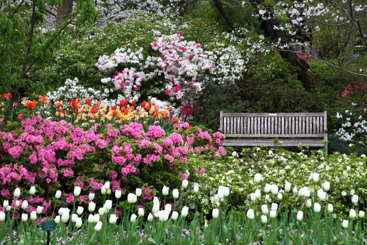 Dallas Blooms brings flower power to festival Life + Entertainment