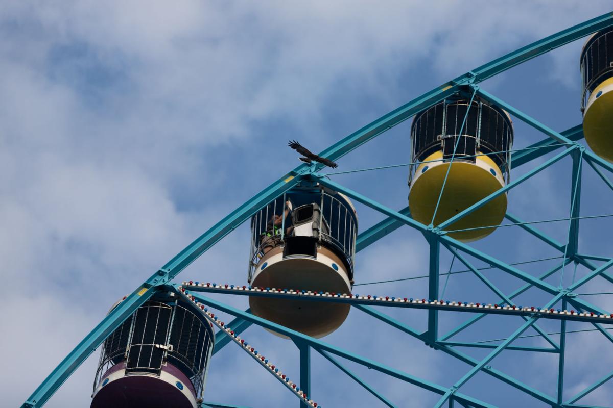 Photos: Family and friends find fun at State Fair of Texas