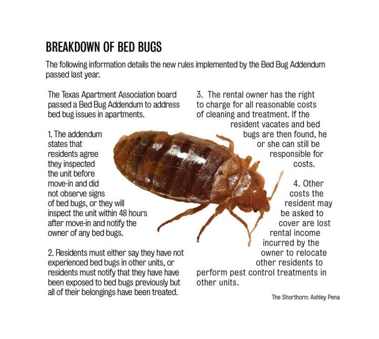 Bed bugs plague tenants | News | theshorthorn.com