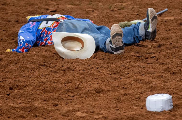 Photos: Rearing, rhythm and rodeos: Best of Mexico Celebración ...