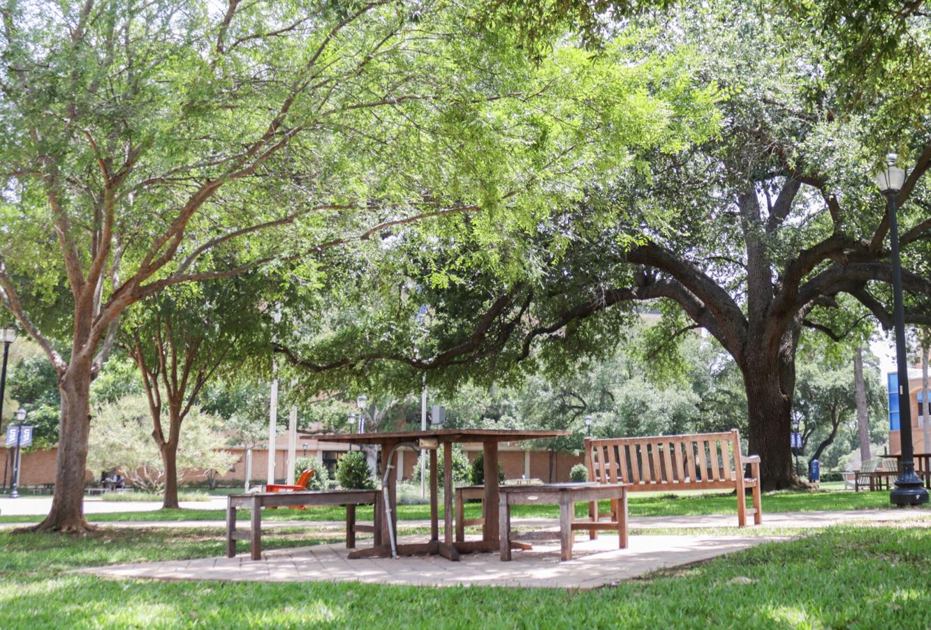 UTA to reimagine Central Library mall green space with survey | Campus ...